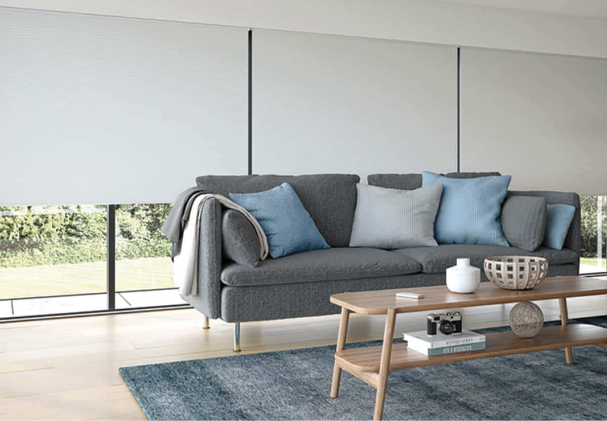 cellular pleated blinds