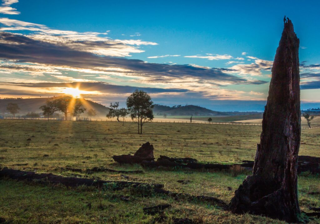 Blind Installations Anambah