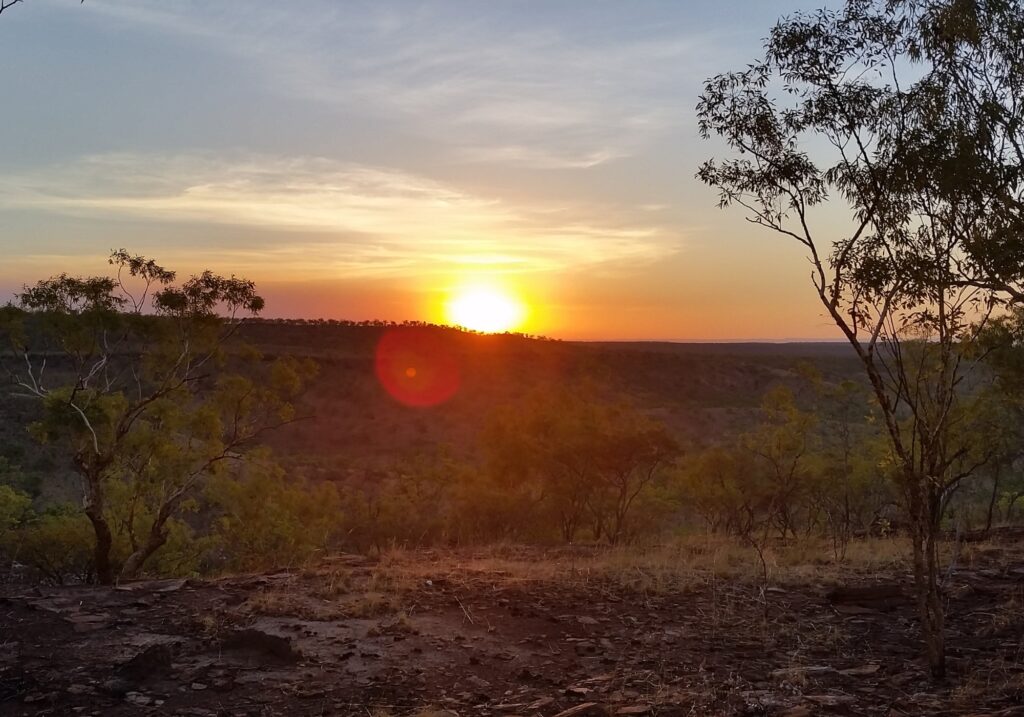 Blind Installations Ashtonfield