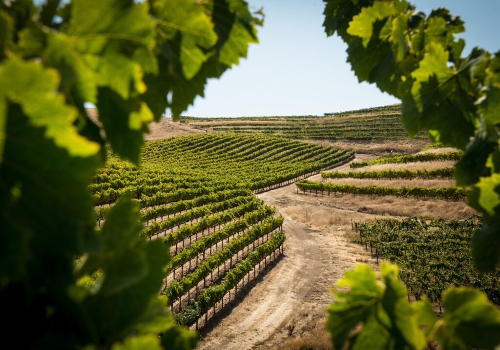 Blind Installations Bishops Bridge