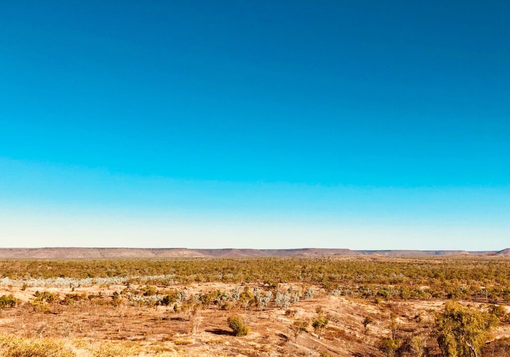 Blind Installations Buchanan