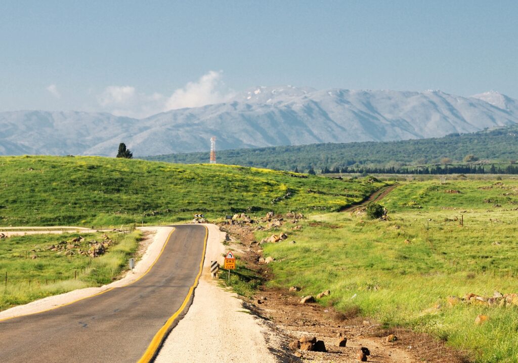 Blind Installations Bolwarra Heights