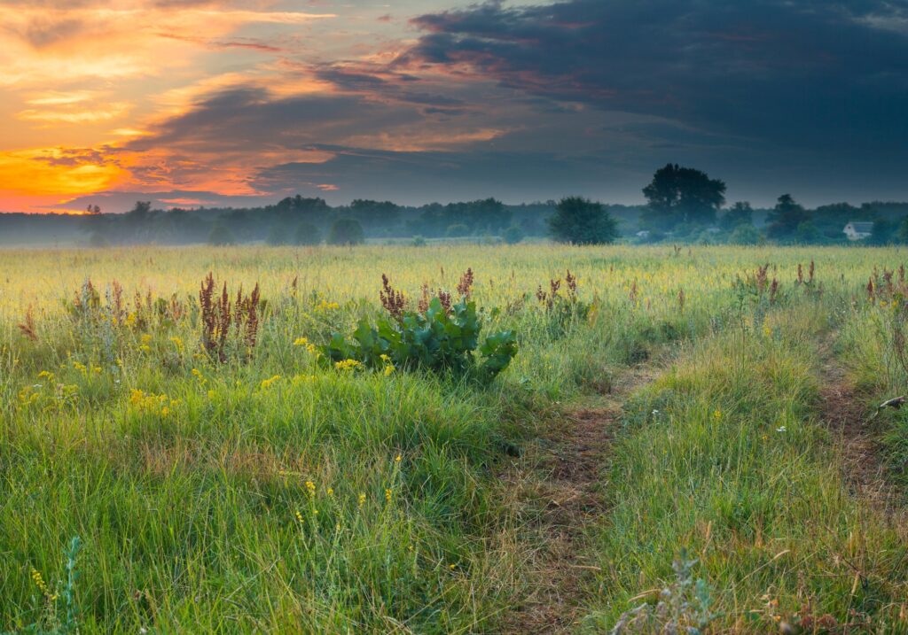 Blind Installations Brandy Hill