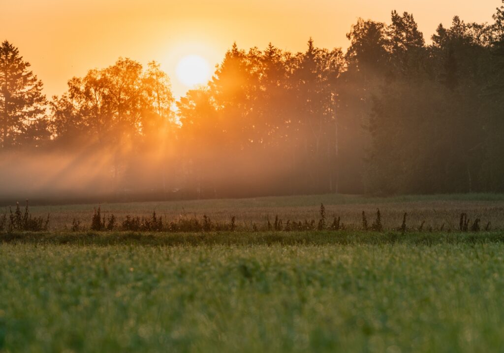 Blind Installations Greta
