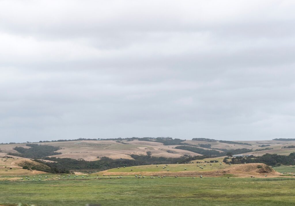 Blind Installations Largs