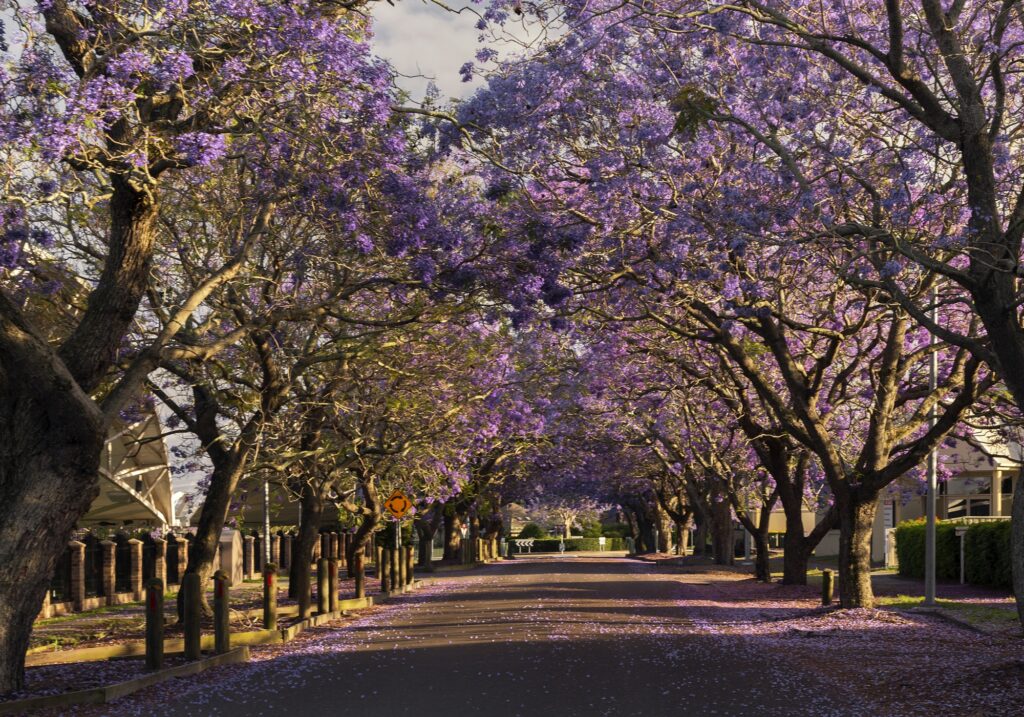 Blind Installations Raymond Terrace