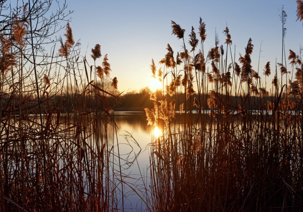 Blind Installations Seaham