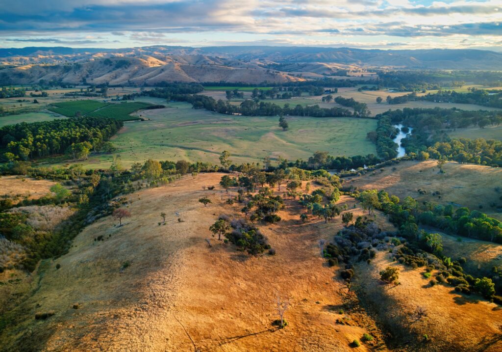 Blind Installations Thornton