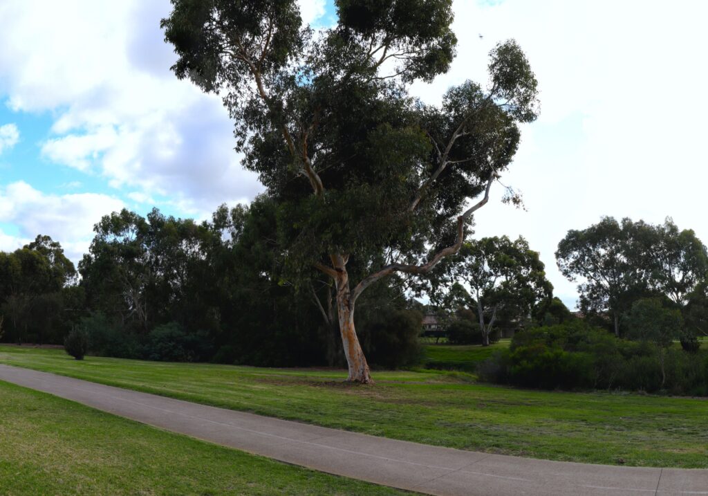 Blind Installations Broadmeadow