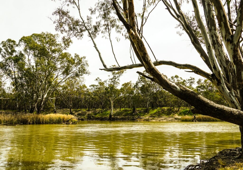 Blind Installations Duns Creek, New South Wales