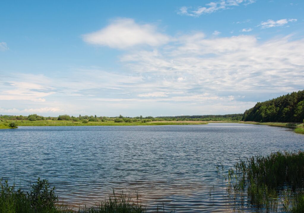 Blind Installations East Seaham