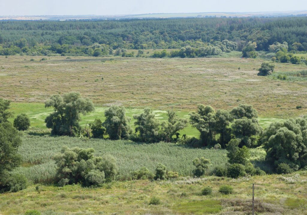 Blind Installations Englefield