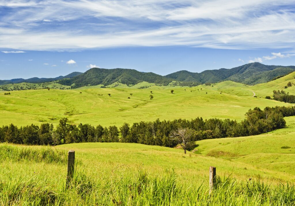 Blind Installations Green Hills
