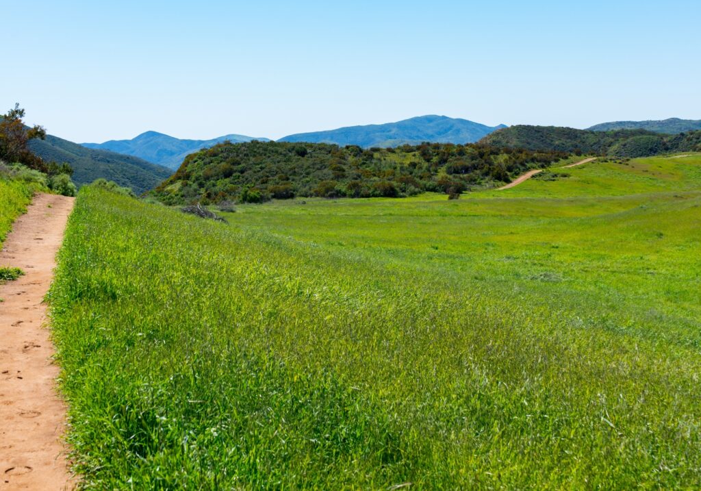 Blind Installations Gungal