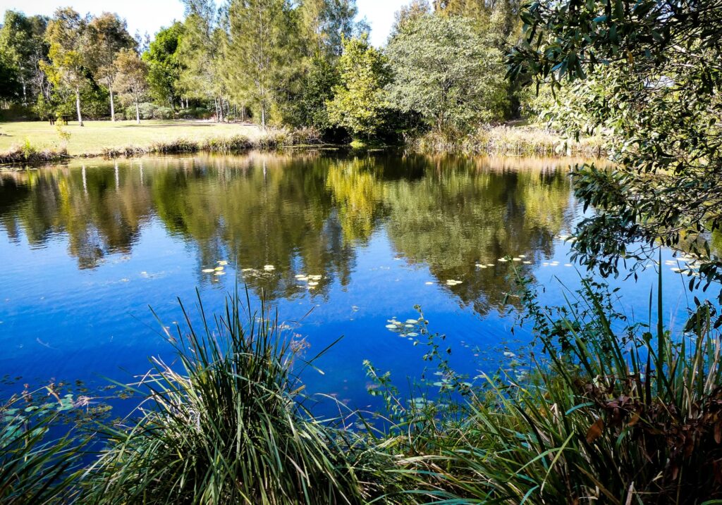 Blind Installations Ferodale