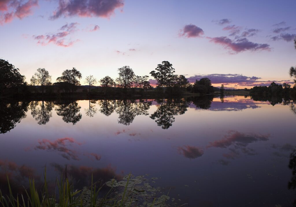 Blind Installations Nelson Plains