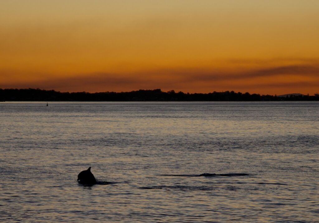 Blind Installations Taylors Beach