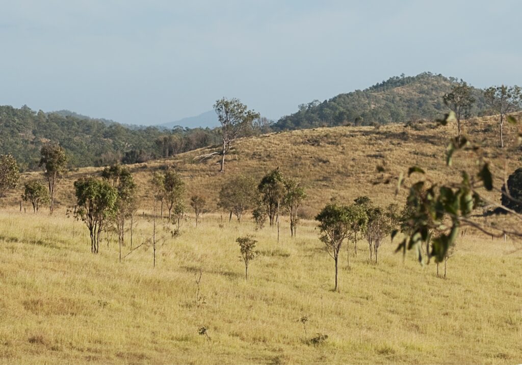 Black Hill, Australia